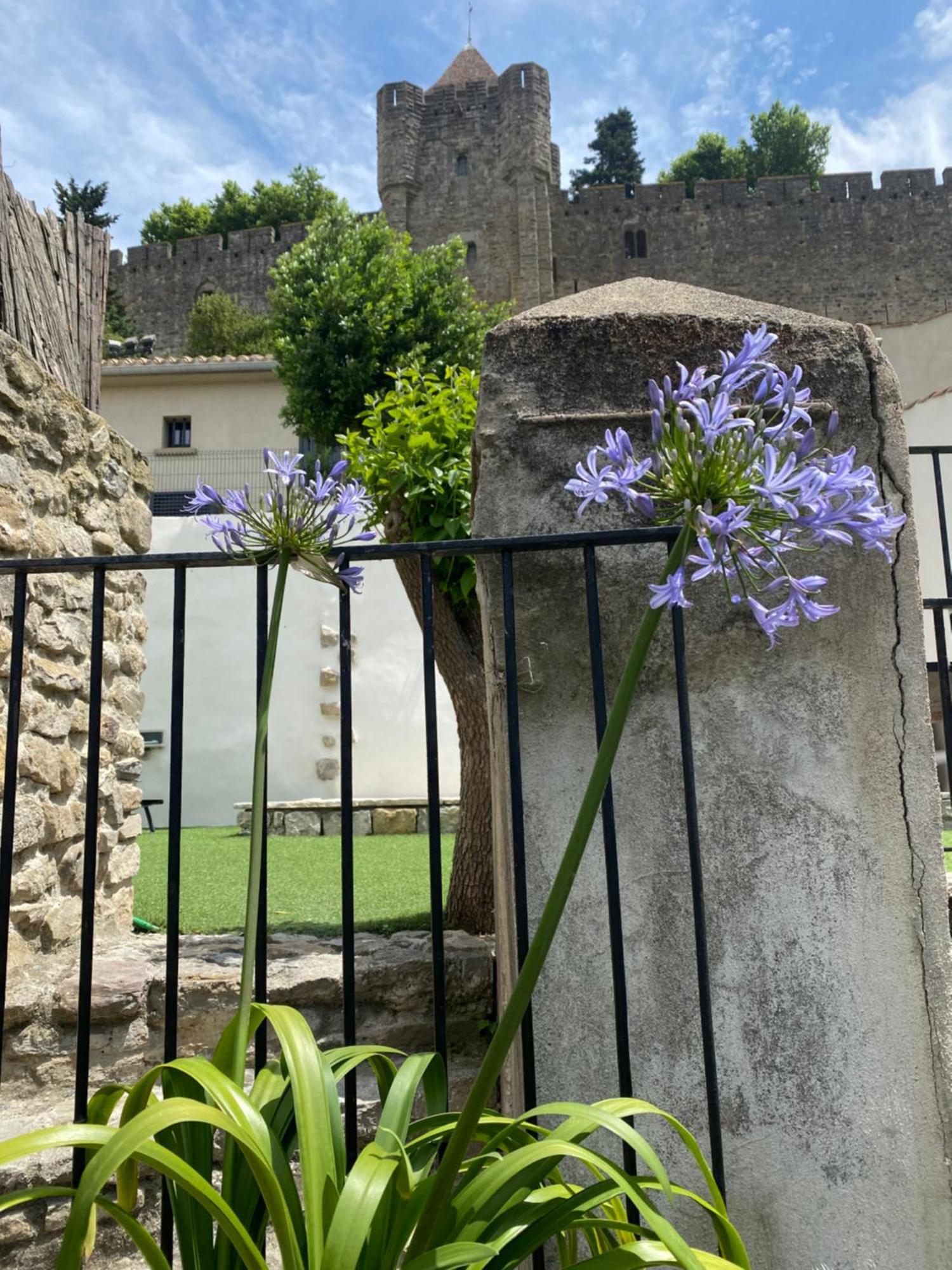 La Maison De La Tour Pinte Καρκασόν Εξωτερικό φωτογραφία